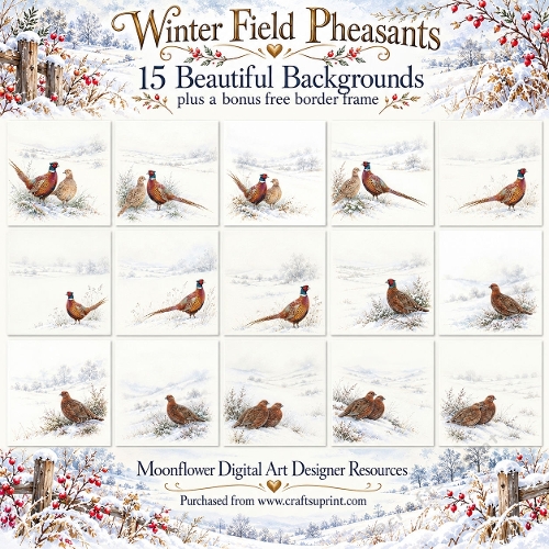 Winter fields Pheasants customer request 