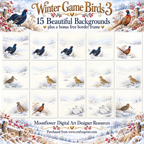 Winter game birds 3  