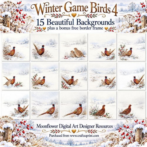 Winter game birds 4