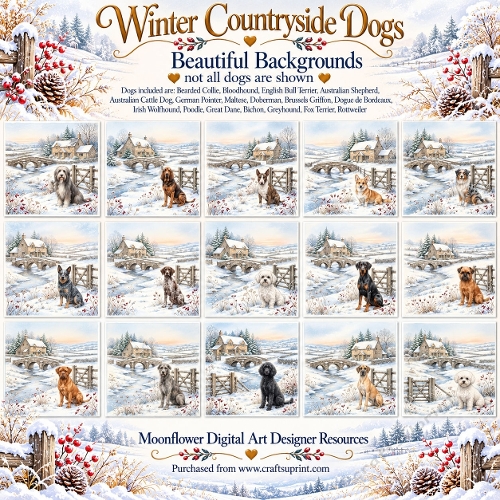 Winter countryside dogs 1