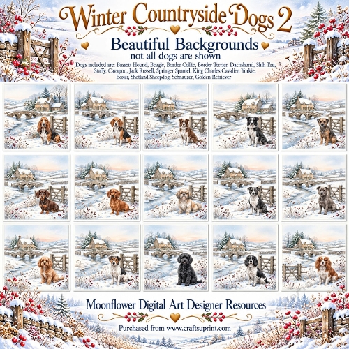 Winter countryside dogs 2