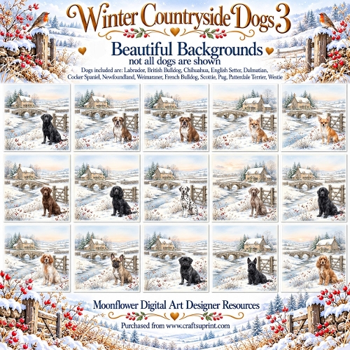 Winter countryside dogs 3