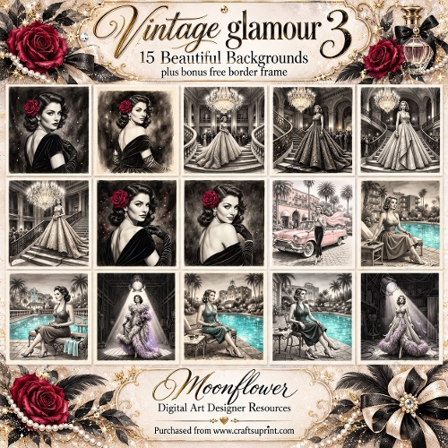 Vintage glamour 3 free bonus border frame 