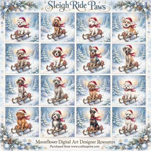 Sleigh ride paws 1