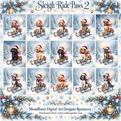 Sleigh ride paws 2