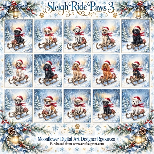 Sleigh ride paws 3