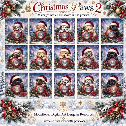 Christmas paws 2