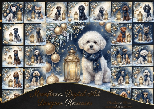 Winter lantern 1