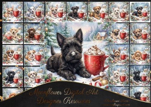 Hot coco pups 3