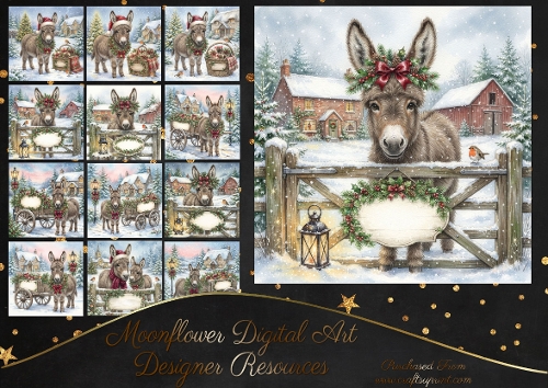 Festive donkey wishes