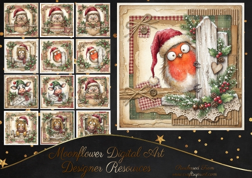 Christmas farm yard giggles 1