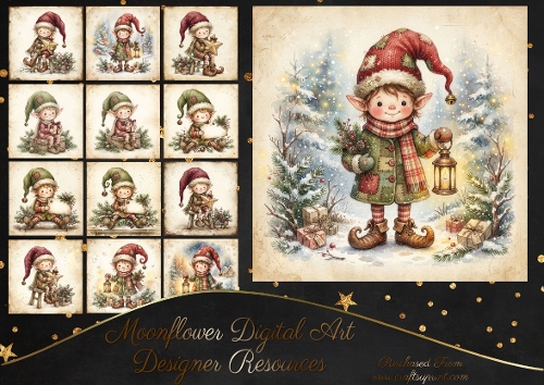 Magical Christmas elf 