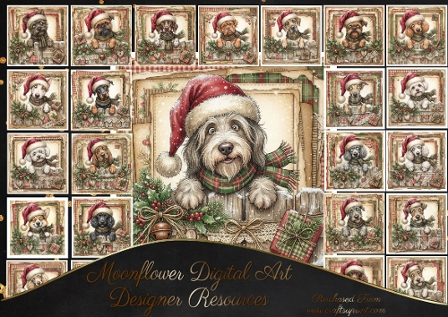 Paws, Plaid & Christmas Wishes 1