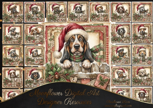 Paws, Plaid & Christmas Wishes 2