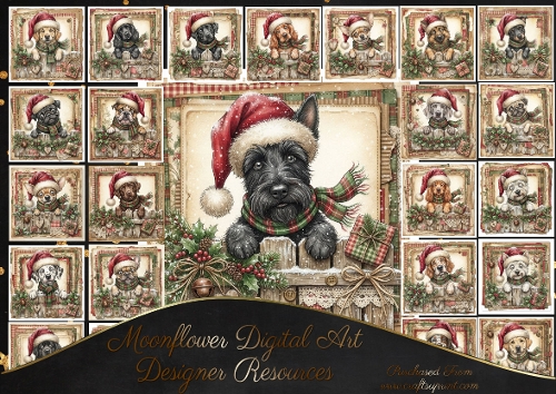 Paws, Plaid & Christmas Wishes 3