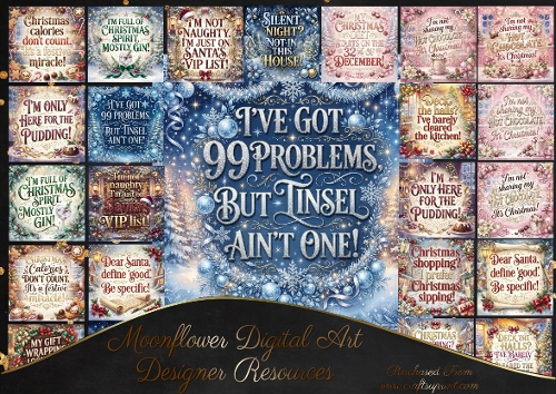 Funny Christmas quotes 