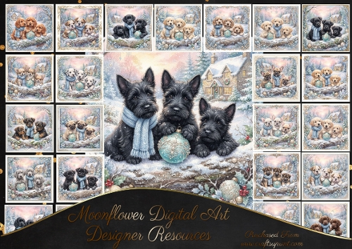 Whispers of winter wonderland pups 3