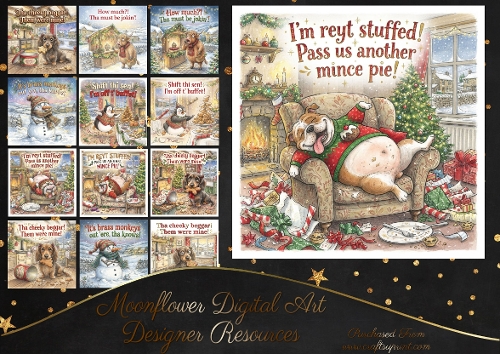 Ey Up! Its a Yorkshire Christmas1
