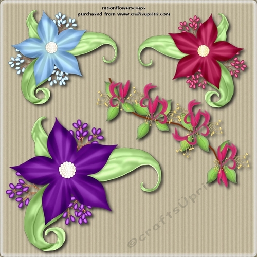 Berry flowers