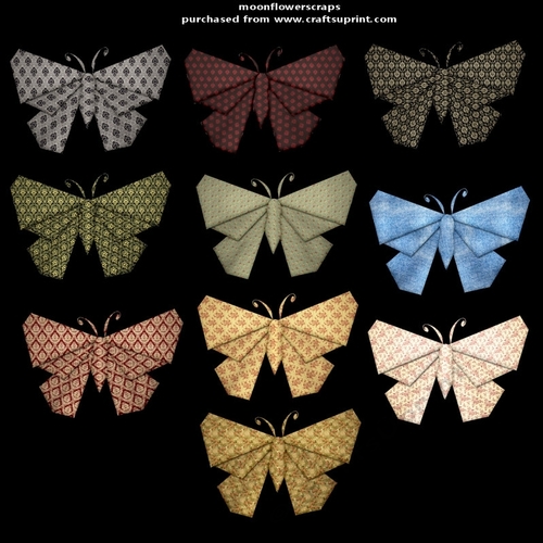 Butterflies