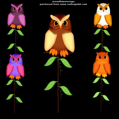 Owls