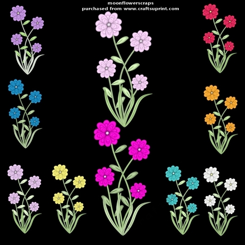 Spring flowers