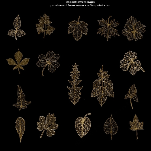 Golden leafs