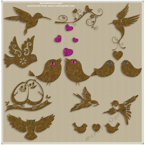 Birds