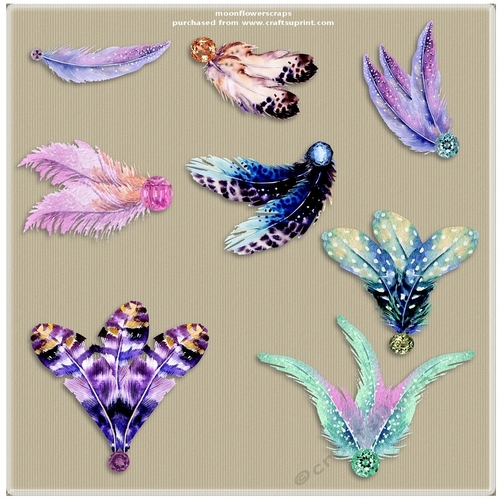 Jewelled Feathers