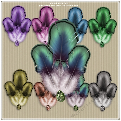 Feather accents 1