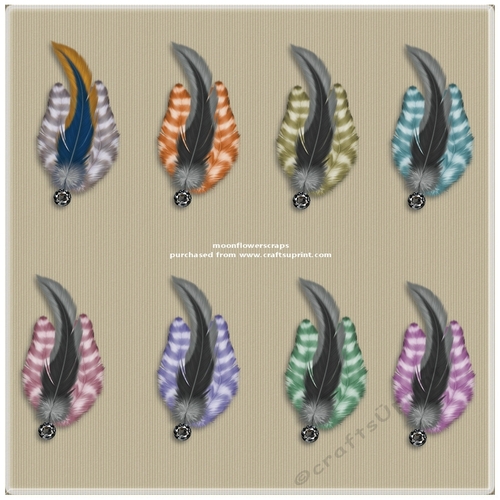 Feather accents 2