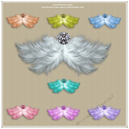 Feather accents 3