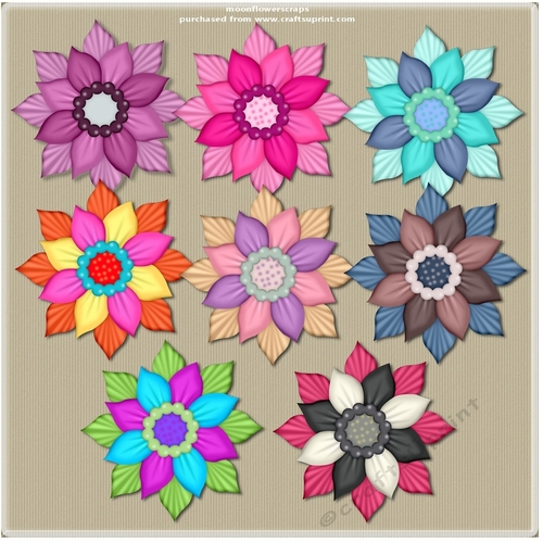 Funky flowers