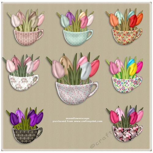 Tulip teacups
