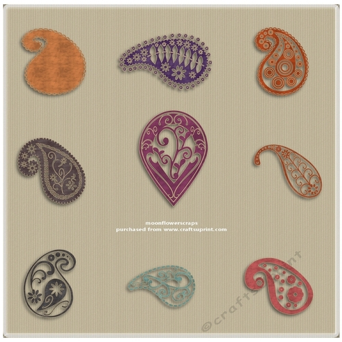 Paisley Elements
