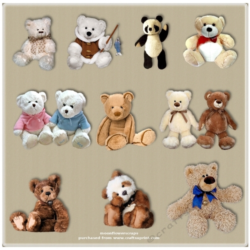 Bears 8