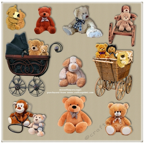 Bears 11