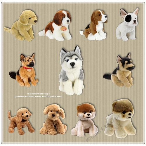 I love dogs