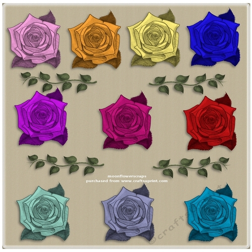 Painted roses