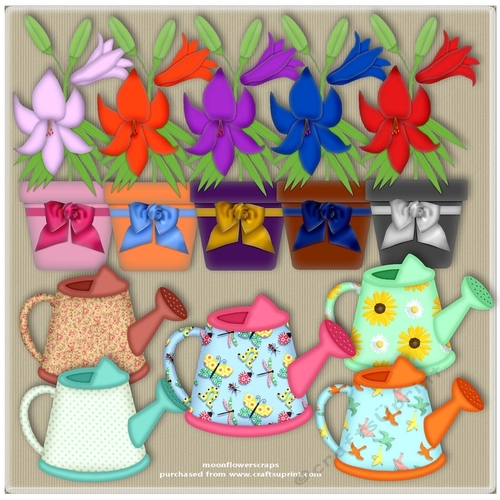 lillies&Cans