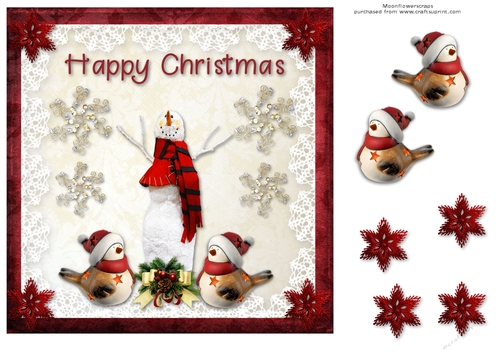 Happy Christmas Birdy 