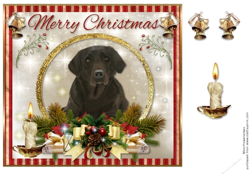 Merry Christmas Chocolate Labrador
