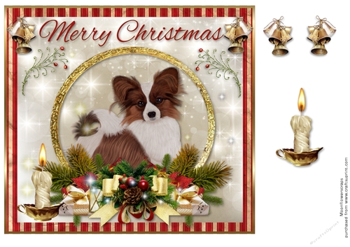 Merry Christmas Papillon