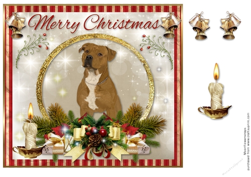 Merry Christmas Pitbull