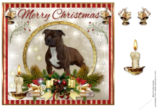 Merry Christmas brown  Staffordshire Bull Terrier