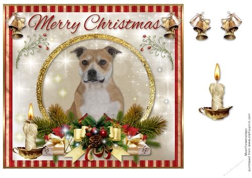Merry Christmas brown white   Staffordshire Bull Terrier