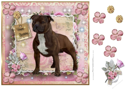 Happy Birthday  Brown Staffordshire Bull Terrier
