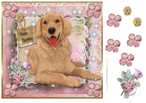 Happy Birthday  Golden Retriever