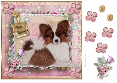 Happy Birthday Papillon