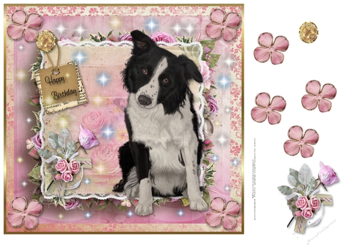 Happy Birthday Border Collie